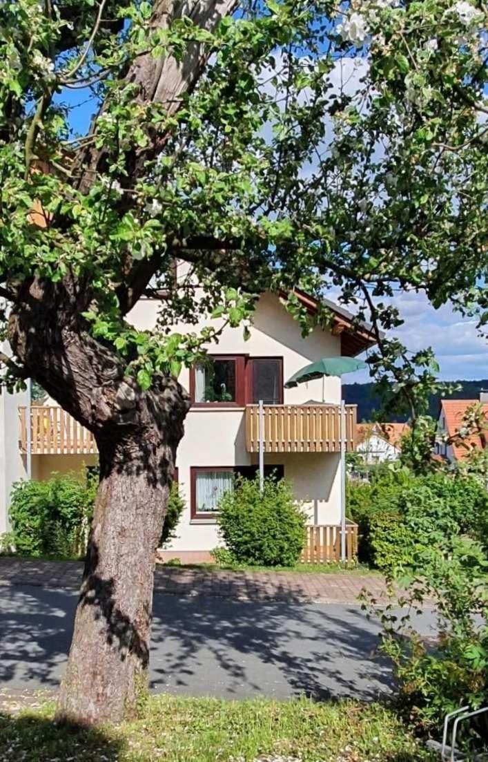 Kleinod Am Kurpark Appartement Bad Zwesten Buitenkant foto